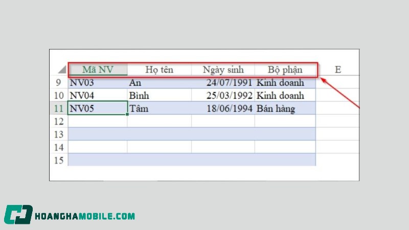 co-dinh-dong-trong-excel-13