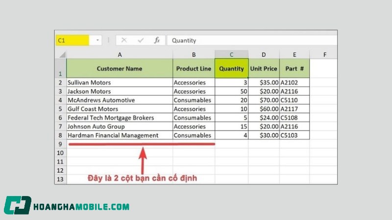 co-dinh-dong-trong-excel-5