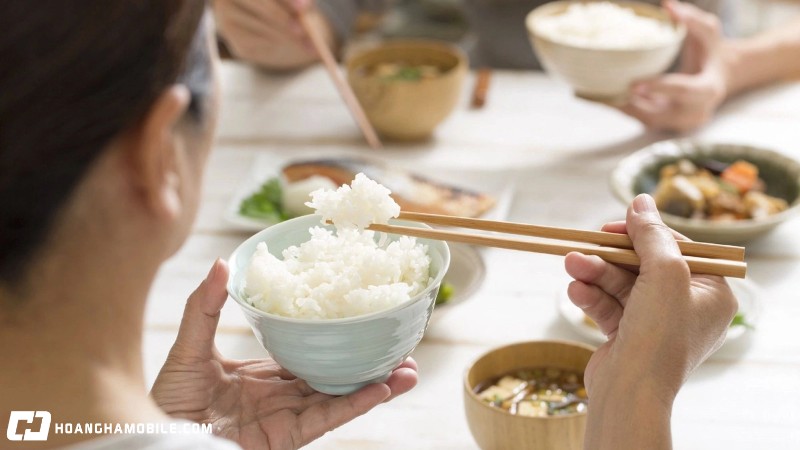 nhung-loai-dua-pho-bien-hien-nay-tren-thi-truong-mua-loai-nao-tot-nhat-7