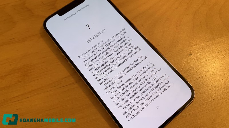 iphone-12-pro-max-bao-nhieu-inch-3