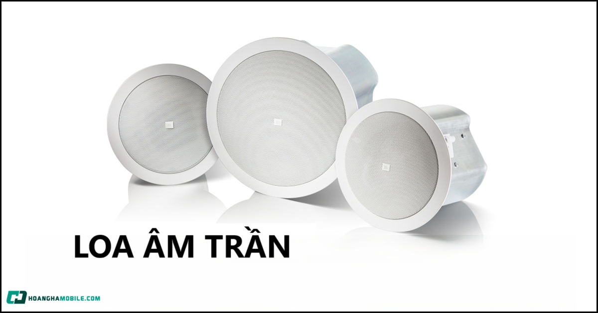 loa-am-tran-thumbnail