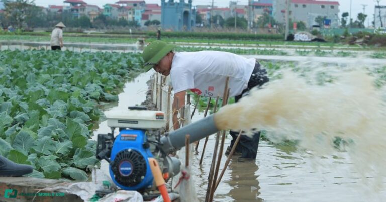 may-bom-nuoc-chay-xang-thumbnail