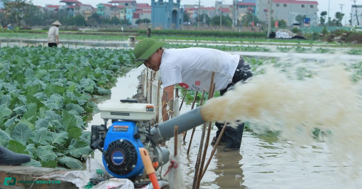 may-bom-nuoc-chay-xang-thumbnail
