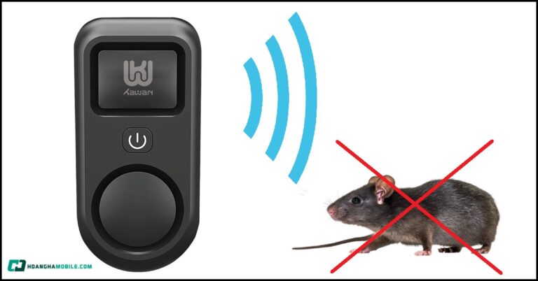 may-duoi-chuot-thumbnail