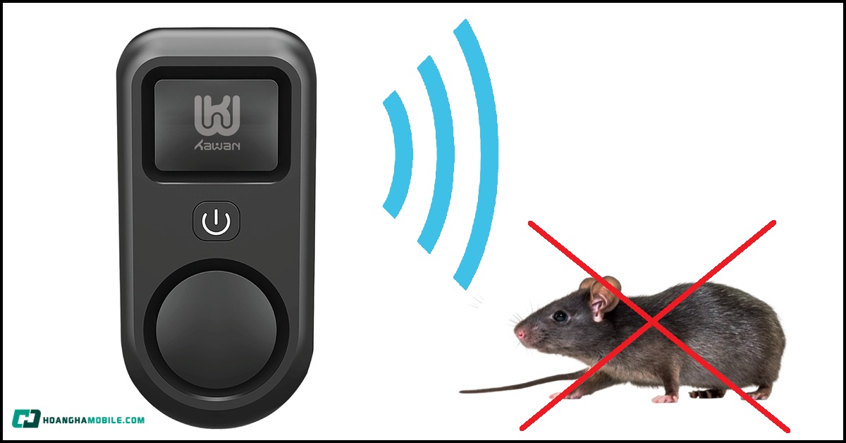 may-duoi-chuot-thumbnail