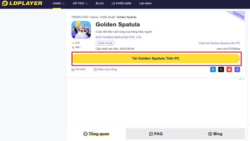 tai-golden-spatula-2