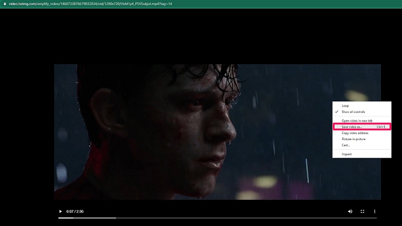 tai-video-twitter-ve-16