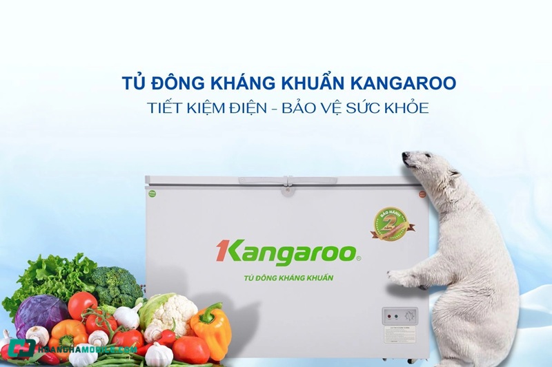 tu-dong-kangaroo-06
