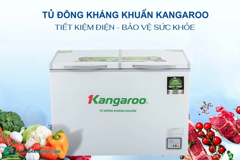 tu-dong-kangaroo-10
