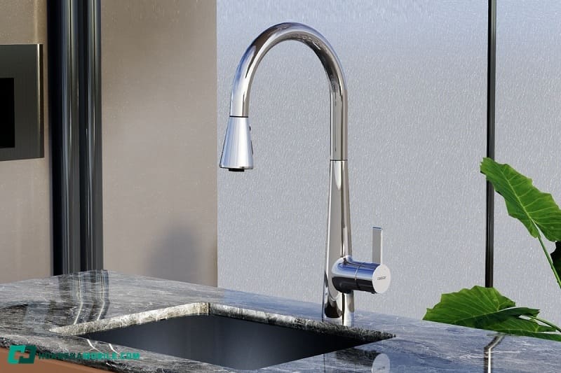 voi-rua-bat-nong-lanh-15