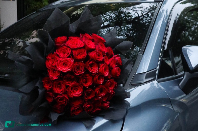 y-nghia-hoa-hong-do-03