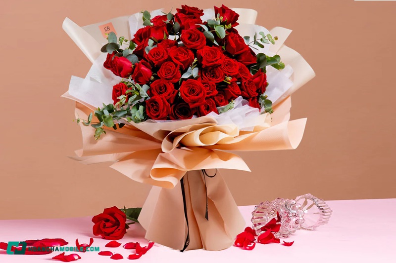 y-nghia-hoa-hong-do-07