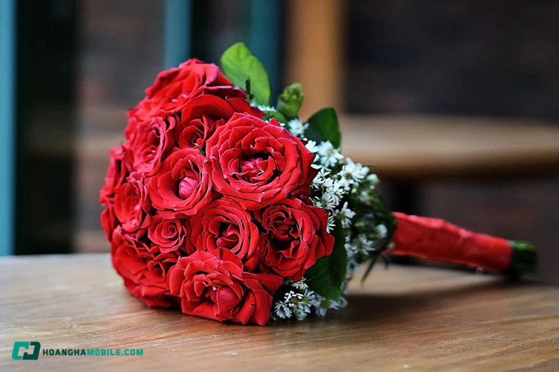 y-nghia-hoa-hong-do-08