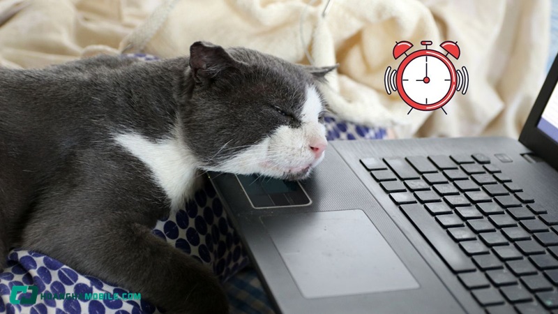 bao-thuc-tren-may-tinh-19