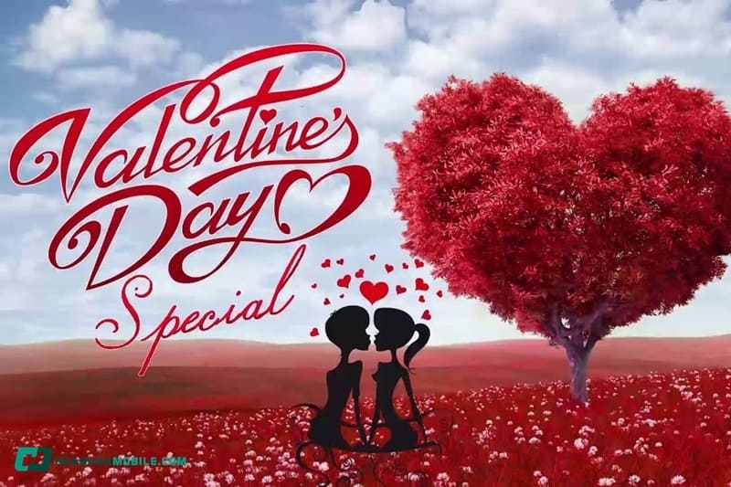 cac-ngay-valentine-02