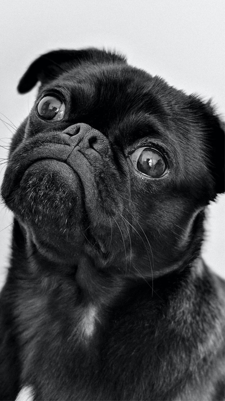 hinh-nen-iphone-17-pro-max-18