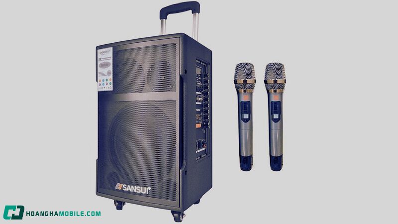 Loa Kéo Có Những Loại Nào? Kinh Nghiệm Chọn Mua Loa Kéo Cho Người Mới Loa-Keo-11