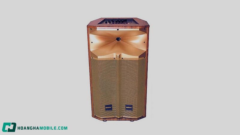 Loa Kéo Có Những Loại Nào? Kinh Nghiệm Chọn Mua Loa Kéo Cho Người Mới Loa-Keo-12