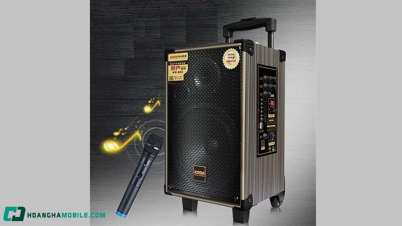 Loa Kéo Có Những Loại Nào? Kinh Nghiệm Chọn Mua Loa Kéo Cho Người Mới Loa-Keo-2