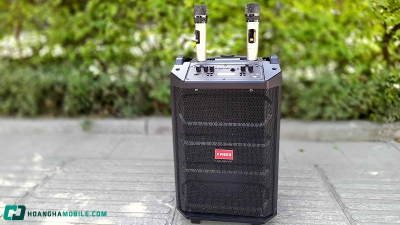 Loa Kéo Có Những Loại Nào? Kinh Nghiệm Chọn Mua Loa Kéo Cho Người Mới Loa-Keo-4