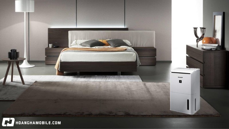 mua-nom-la-gi-vao-thang-may-cach-chong-nom-am-trong-nha-hieu-qua-11