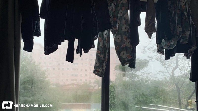 mua-nom-la-gi-vao-thang-may-cach-chong-nom-am-trong-nha-hieu-qua-16