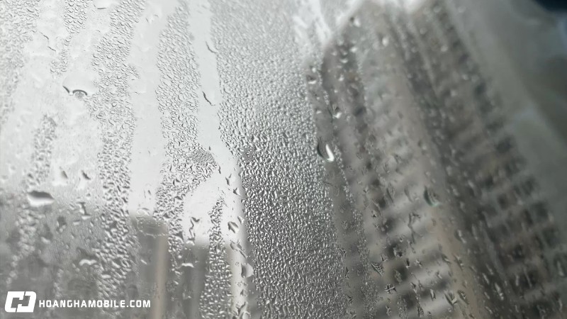 mua-nom-la-gi-vao-thang-may-cach-chong-nom-am-trong-nha-hieu-qua-2