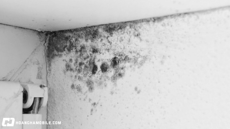 mua-nom-la-gi-vao-thang-may-cach-chong-nom-am-trong-nha-hieu-qua-5