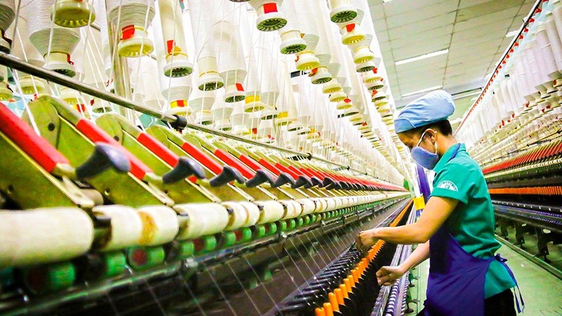 nhua-pet-co-an-toan-khong-6