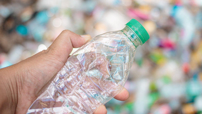 nhua-pet-co-an-toan-khong-9