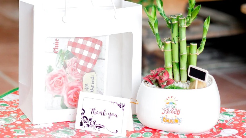 qua-8-3-cho-co-giao-15