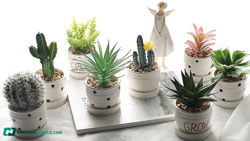 qua-chia-tay-dong-nghiep-05