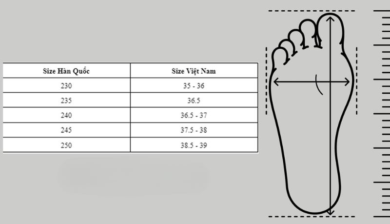 size-37-la-bao-nhieu-cm