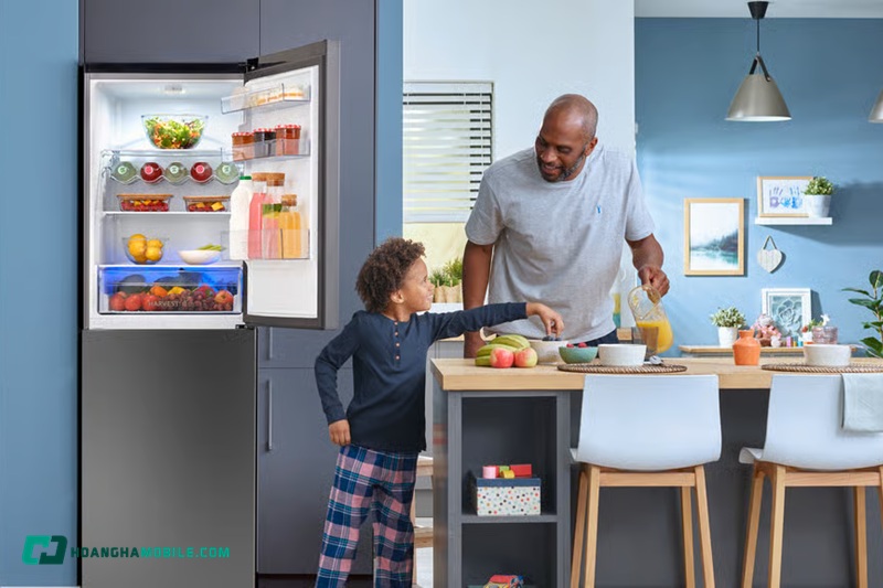 Tủ Lạnh Beko Của Nước Nào Sản Xuất? Top Model Tốt Nhất Nên Mua Tu-Lanh-Beko-06