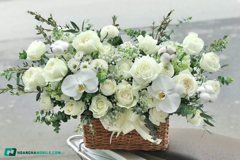 y-nghia-cua-hoa-hong-trang-04