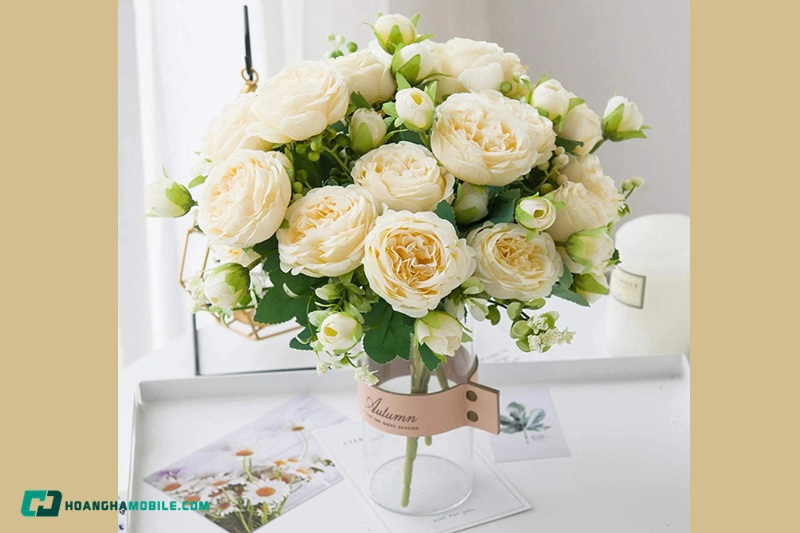 y-nghia-cua-hoa-hong-trang-10