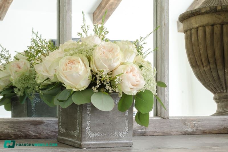 y-nghia-cua-hoa-hong-trang-11