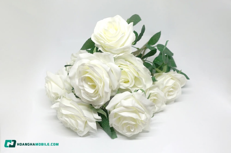 y-nghia-cua-hoa-hong-trang-16