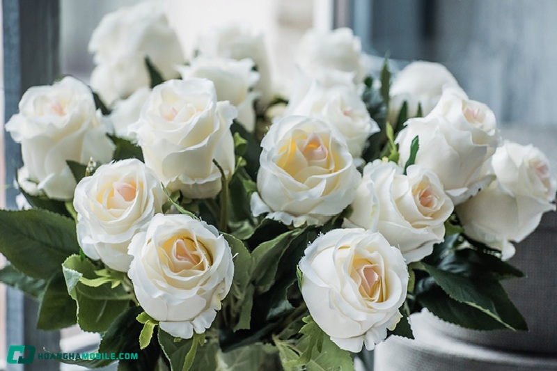 y-nghia-cua-hoa-hong-trang-17