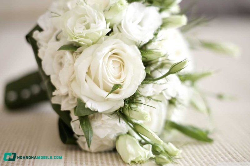 y-nghia-cua-hoa-hong-trang-18