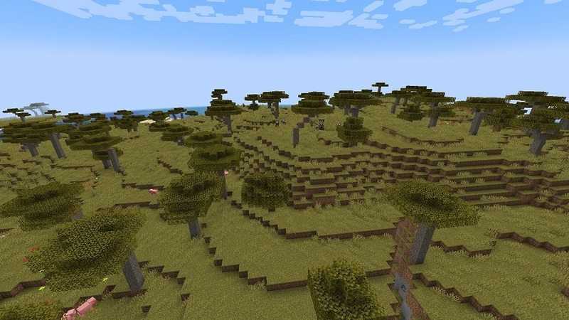 biome-minecraft-11