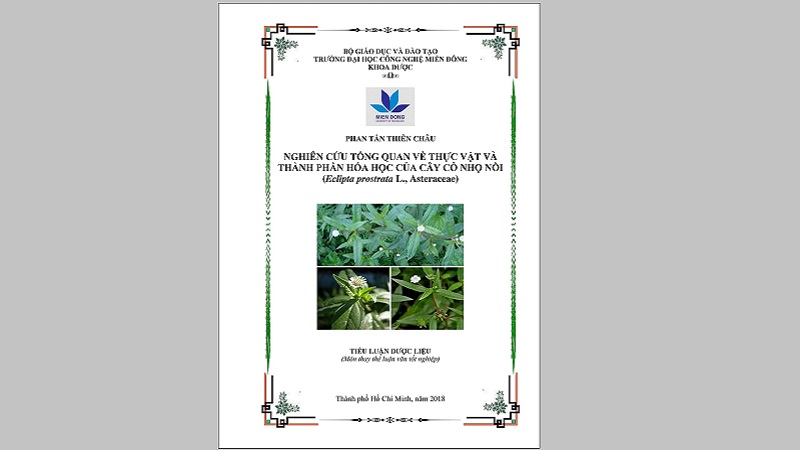 Hướng Dẫn Cách Làm Bìa Tiểu Luận Đẹp, Chuyên Nghiệp Cho Sinh Viên Cach-Lam-Bia-Tieu-Luan-9