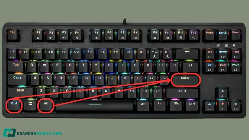 Cach-Xuong-Dong-Trong-Gg-Sheet-03