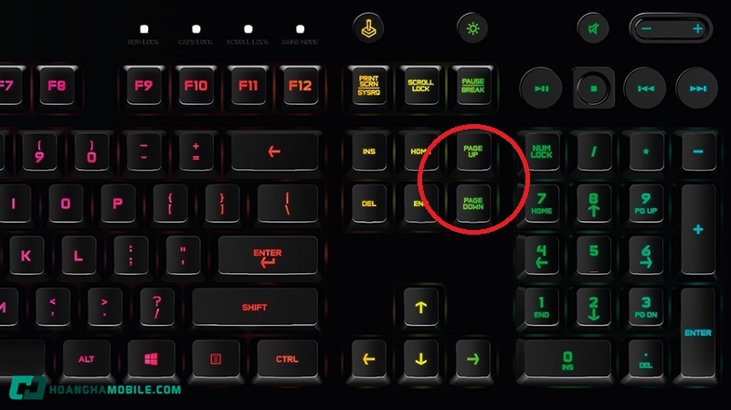 Cach-Xuong-Dong-Trong-Gg-Sheet-11