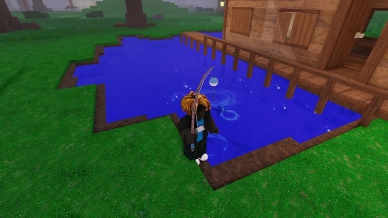 cau-ca-99-nights-in-the-forest-3