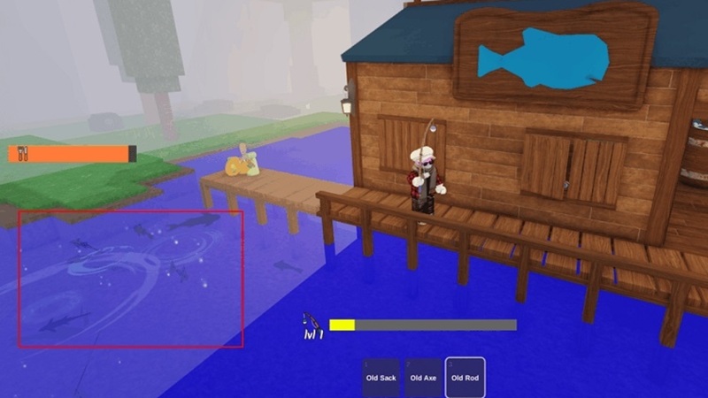 cau-ca-99-nights-in-the-forest-7