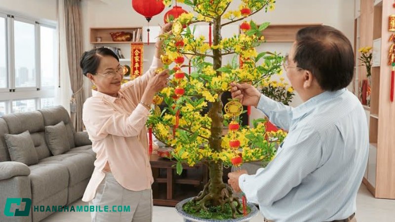 cham-soc-mai-vang-sau-tet-2