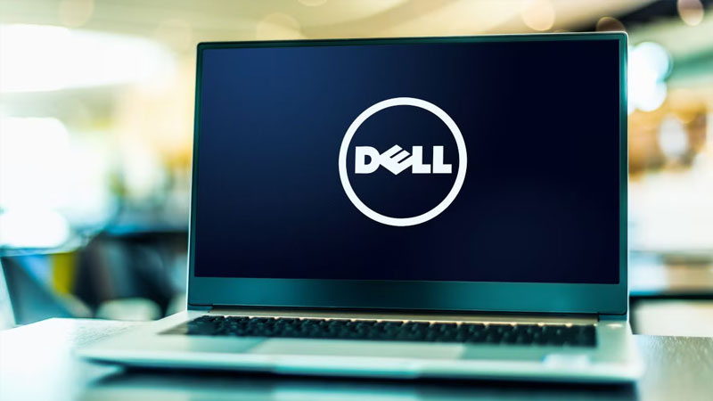 Chup-Man-Hinh-Dell-19