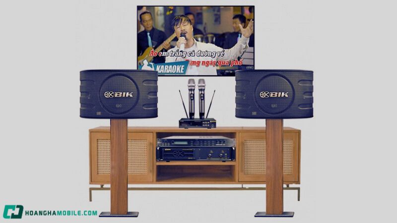Top 7 Dàn Loa Karaoke Bình Dân Chất Lượng Cao Giá Dưới 15 Triệu Dan-Loa-Karaoke-5