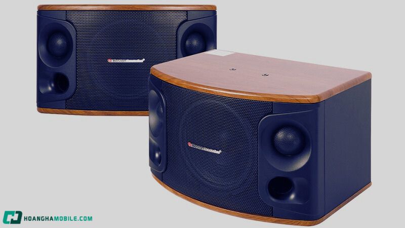 Top 7 Dàn Loa Karaoke Bình Dân Chất Lượng Cao Giá Dưới 15 Triệu Dan-Loa-Karaoke-8